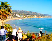 Road Trip up the Coast