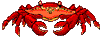 Clippy the crab